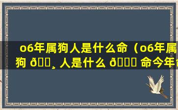 o6年属狗人是什么命（o6年属狗 🌸 人是什么 🐞 命今年命运）